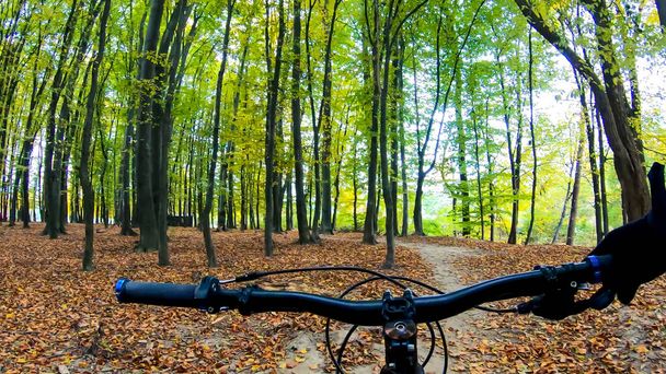 Cavalier amateur sur le vélo à l'automne - Photo, image