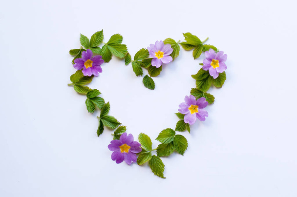 heart symbol made of green blackberry leaves and purple flowers on a white background - Фото, изображение