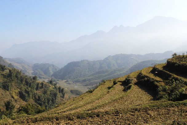 Valley of the city of Sapa. Valley with rice fields. Rice multi-stage gardens. Vietnam - Фото, изображение