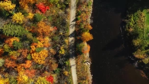 自転車道、カラフルな木々や川の真上と真上を撮影する空中ビュー - 映像、動画