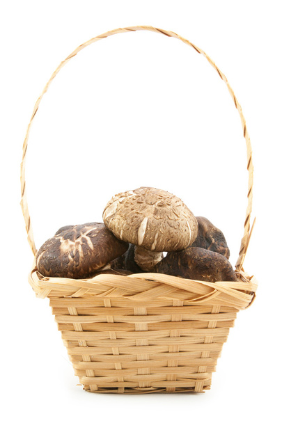 Fresh shiitake mushroom in basket  - Zdjęcie, obraz