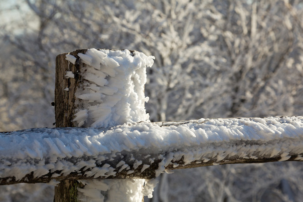 gefrorener Schnee auf hölzernem Zaun - Foto, Bild