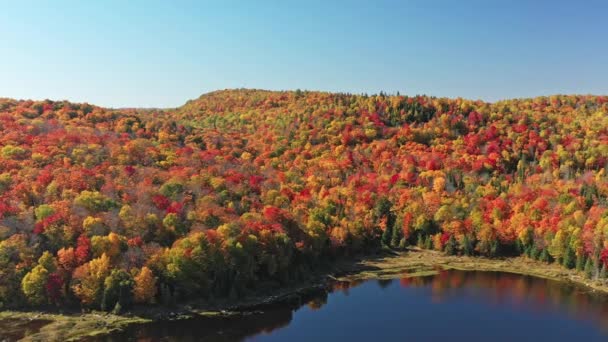 Luchtfoto, langzaam back-up over het meer onthullen van de berg met kleurrijke bomen met herfstkleuren - Video