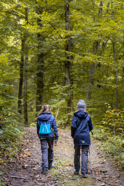 Meninos de trás caminhando em um caminho de floresta no outono - Foto, Imagem
