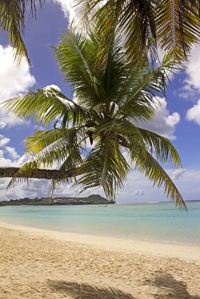 Guam Beach - Photo, Image