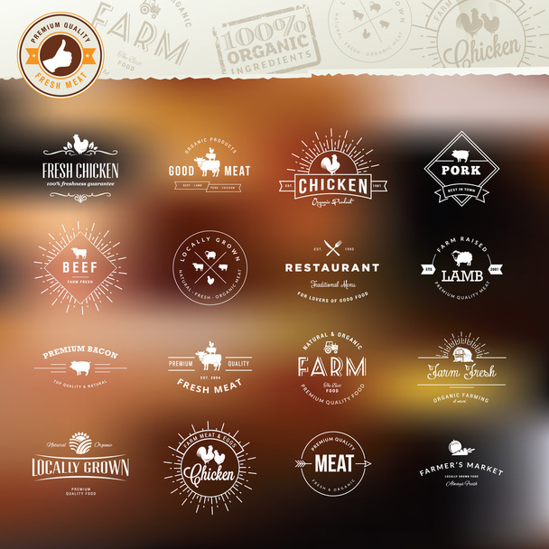 Set of vintage style elements for labels and badges for meat, fresh organic products, on the stylized background - Vector, Image