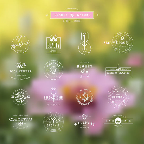 Set of vintage style elements for labels and badges for beauty, health care, cosmetics, spa and wellness, on the nature background - Vector, Image
