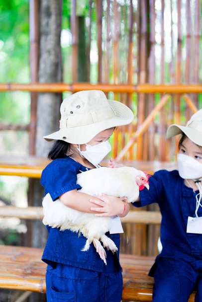 Portret dziecka trzymają kurczaki i delikatnie głaskają pióra. Dzieci uczą się w zabawny sposób z prawdziwych doświadczeń. Dzieciak noszący maskę medyczną, aby zapobiec epidemii wirusa PM2.5 i covid-19. - Zdjęcie, obraz