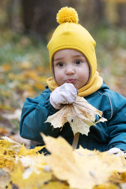 Niña divirtiéndose bosque de otoño. Niño sentado hojas amarillas - Foto, imagen
