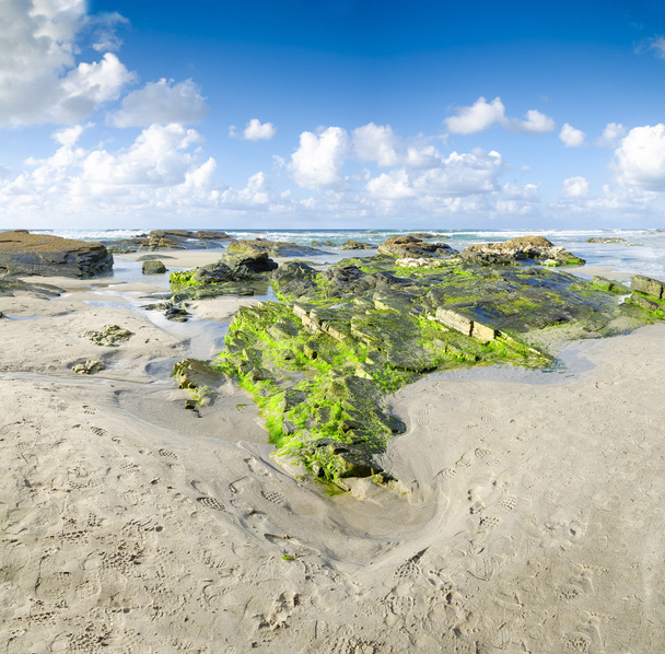 Paysage avec plage de rochers verts, la mer et le beau clou
 - Photo, image