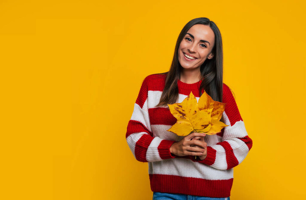 Close up photo of smiling young beautiful trendy girl in a striped sweater with yellow leaves in her hands while she is having fun and posing on yellow background. - Fotografie, Obrázek