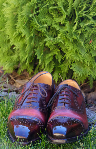 Color vino vintage brogues de cuero completo hecho a mano pátina boda goodyear welted zapatos de vestir - Foto, Imagen