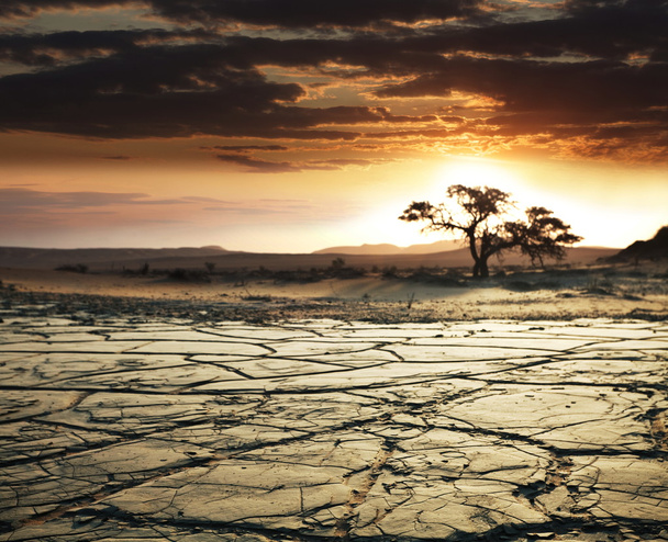 poušť gobi - Fotografie, Obrázek