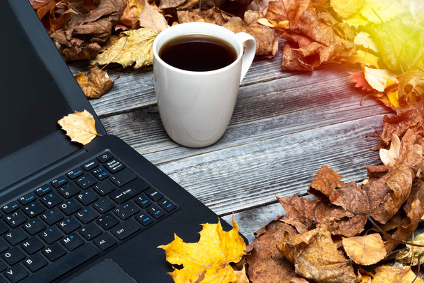 Egy fekete laptop egy szürke asztal fa hátterén a száraz őszi levelek és egy bögre kávé mellett. Reggelt, reggeli. A távmunka vagy távoktatás fogalma, szabadúszó. - Fotó, kép