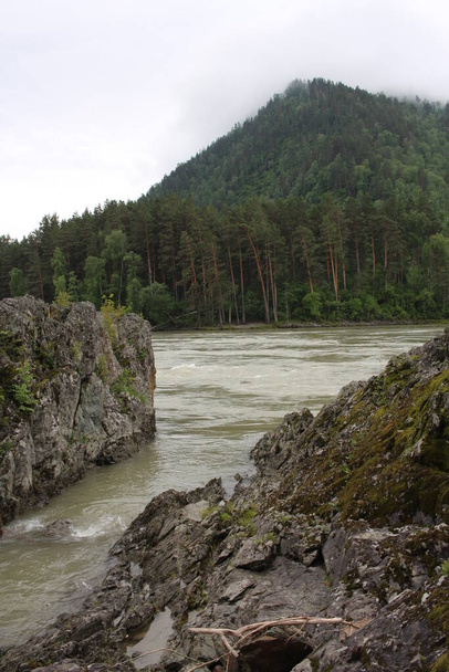 rocks in the Altai mountains on the river in nature for tourists - Foto, Imagem