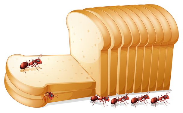 Bread and ants - Vector, Image