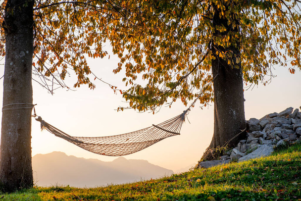Hängematte hängt bei Sonnenuntergang zwischen Bäumen - Foto, Bild