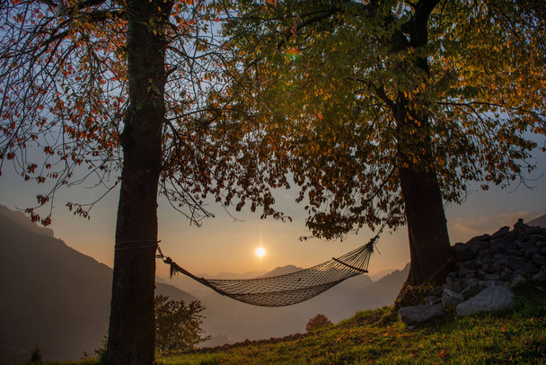 Hamac suspendu entre les arbres au coucher du soleil - Photo, image