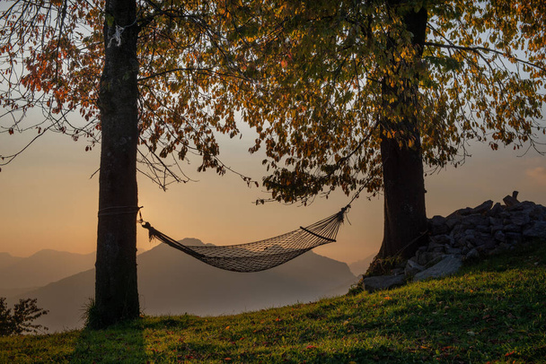 Riippumatto roikkuu puiden välissä auringonlaskun aikaan - Valokuva, kuva