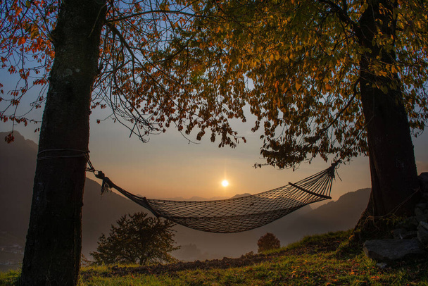 Hängematte hängt bei Sonnenuntergang zwischen Bäumen - Foto, Bild