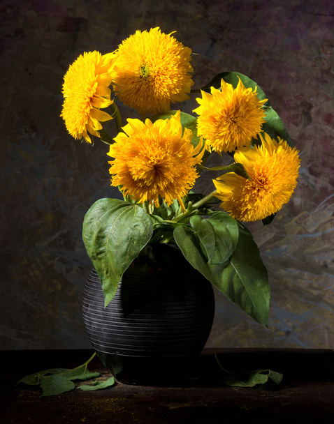 Still life with beautiful sunflowers in vase - Photo, Image