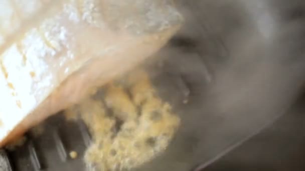 zdrowe jedzenie świeży stek z łososia - Materiał filmowy, wideo