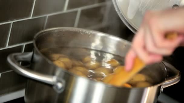 Boiling potatoes for family dinner - Materiał filmowy, wideo