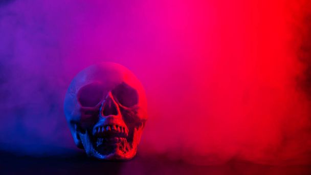 Human skull in pink and blue smoke on a black background. Halloween. - Foto, immagini
