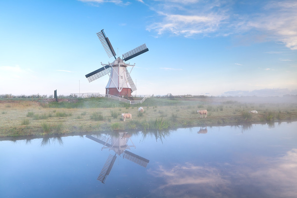霧のかかった朝のオランダの風車 - 写真・画像