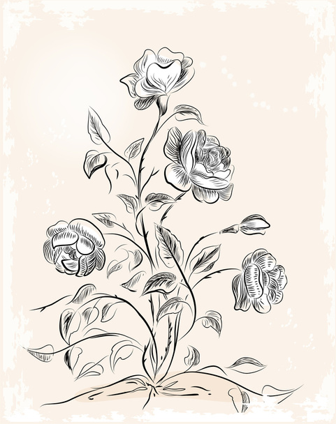 Vintage greeting card with roses - Wektor, obraz