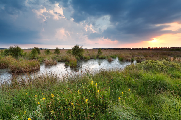 закат над болотом летом
 - Фото, изображение