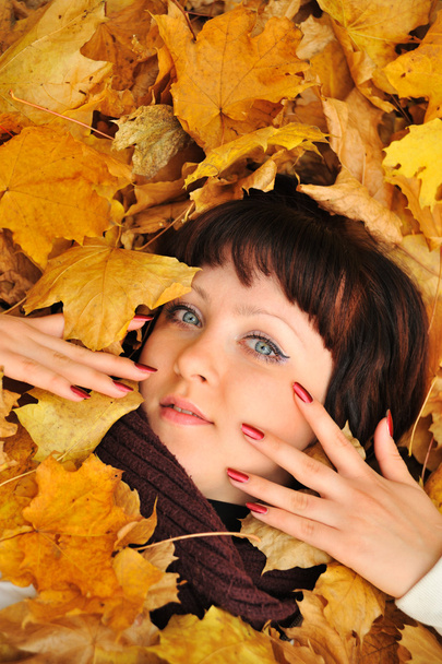 A menina em folhas de outono
 - Foto, Imagem