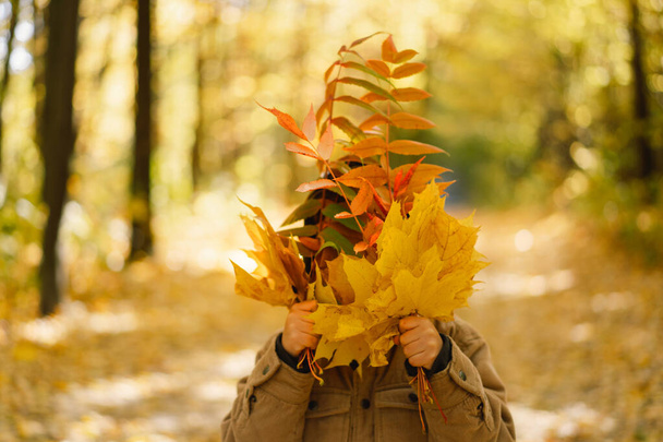 Bébé garçon heureux riant et jouant le jour d'automne. Enfant couvre son visage avec des feuilles - Photo, image