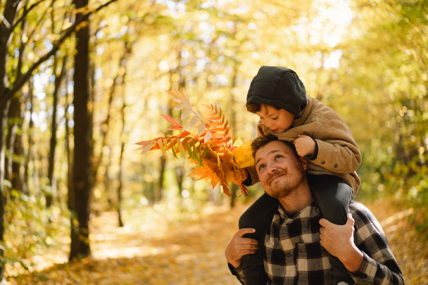 Happy dad and son are walking in the autumn forest. Autumn outdoor activity for family with kids. - 写真・画像