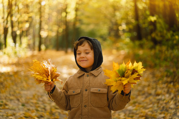 Küçük mutlu çocuk sonbahar günü gülüyor ve oynuyor. Çocuk yapraklarla oynuyor - Fotoğraf, Görsel