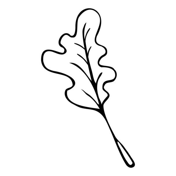Hand drawn tree leaf illustration in doodle style. - Vector, Image