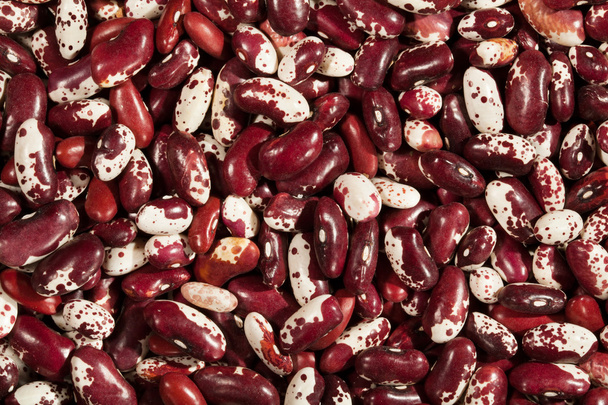 beans red - Foto, Bild