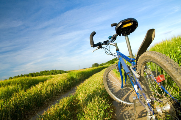 Bike on the summer field - Foto, Imagen