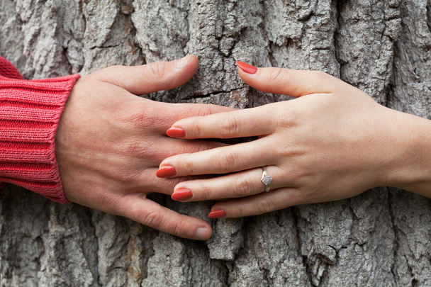 Hands around the tree - Foto, Imagem