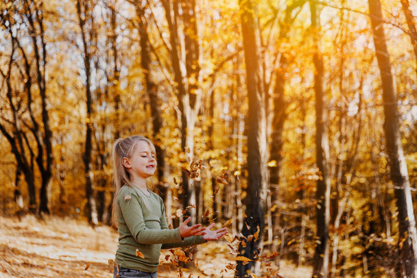 Pieni iloinen hymyilevä pieni valkoihoinen lapsi tyttö leikkii keltaisilla lehdillä syksyllä metsässä tai puutarhassa puiden ympärillä. Poika heittää lehtiä ylös ja ne putoavat. Värikäs syksy, kullanvärinen - Valokuva, kuva