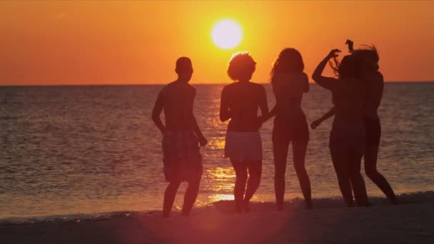 młodych ludzi, zabawy na plaży - Materiał filmowy, wideo