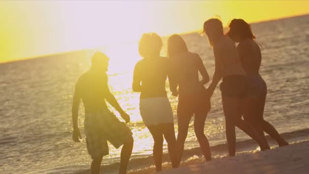 Les jeunes s'amusent sur la plage
 - Séquence, vidéo