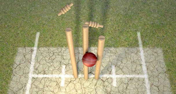 Cricketball schlägt Pforten - Foto, Bild