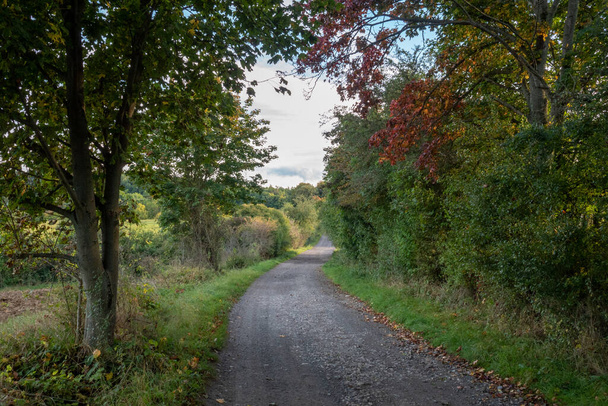 Landscape in autumn dress - Fotografie, Obrázek