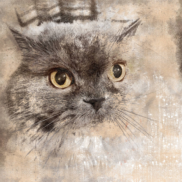 Portrait d'un chat gris aux yeux jaunes. Gros plan de la tête de l'animal. Pet. Aquarelle numérique peinture. - Photo, image