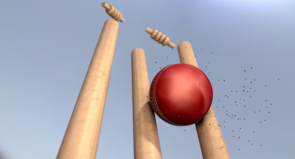 Cricketball schlägt Pforten - Foto, Bild