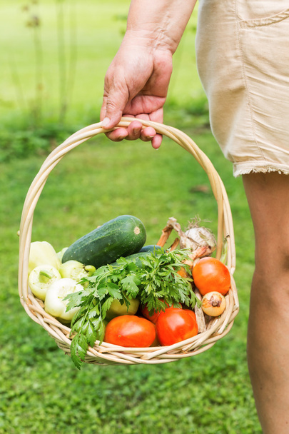 Senior woman holding a basket with fresh vegetable - Photo, Image
