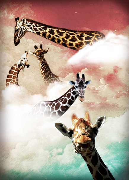 Amusement park for giraffes above the clouds - Photo, Image
