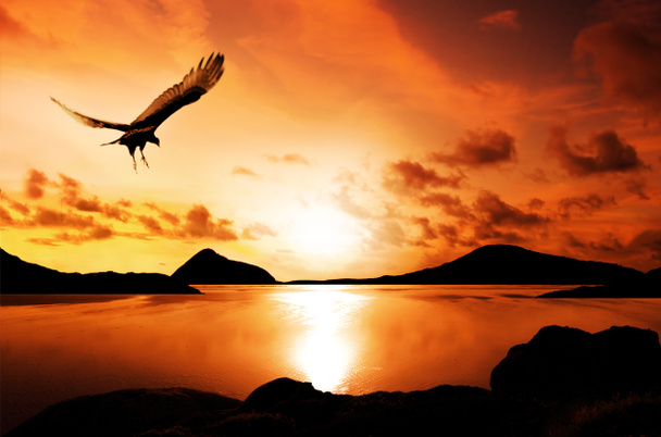 naplemente szigetek - Fotó, kép