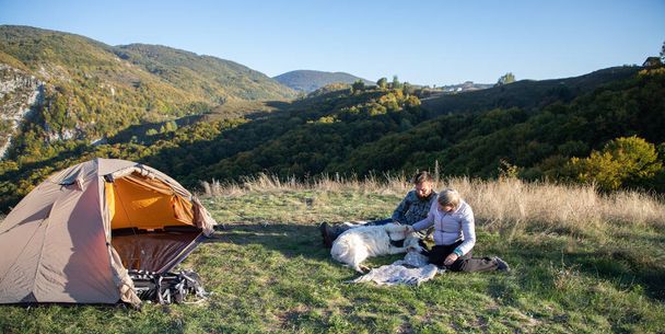 heureux amis camping avec chien en automne paysage - Photo, image